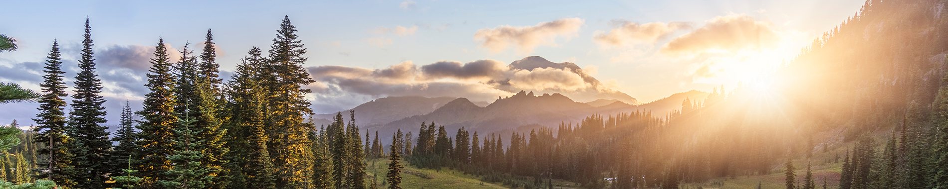 Mount Rainier