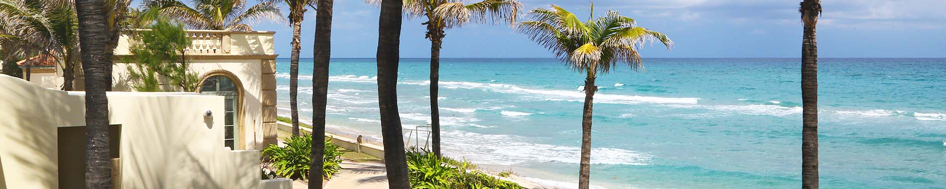 palm beach banner image