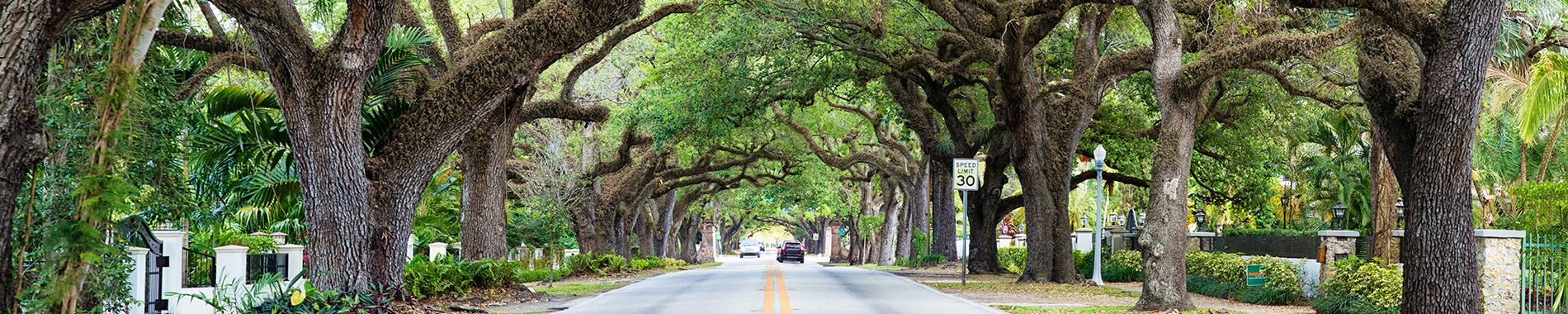 coral gables mangrove